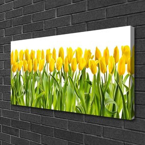 Quadro su tela Tulipani, fiori, natura 100x50 cm