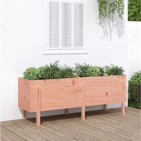 Fioriera Rialzata Giardino 160x50x57 Cm Legno Massello Douglas /