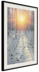 Poster  Frosty Sunset  Cornice Quadri Cornice nera con pass-partout, Larghezza x Altezza Home decor 20x30