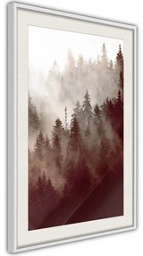 Poster  Forest Fog  Cornice Quadri Cornice d'oro con passe-partout, Larghezza x Altezza Home decor 20x30