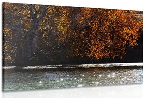 Quadro su tela – Riflesso delle foglie nel lago