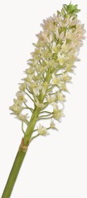 Fiori artificiali fatti a mano Eucomis, set da 2