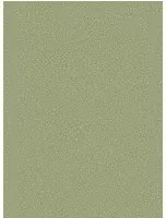 Cole & Son Carta da parati Pebble - Dark Olive