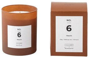 Candela profumata tempo di combustione 50 h No. 6 Sequoia - ILLUME x Bloomingville