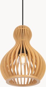 Lampada a sospensione Roots