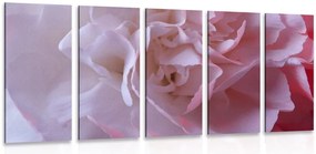 Quadri 5 pezzi – Petali di garofano
