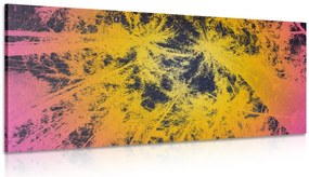 Quadro su tela – Tramonto nella foresta tropicale