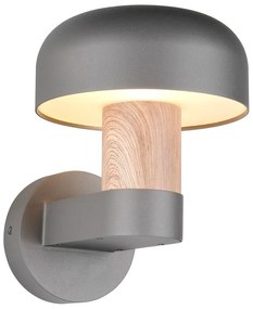 Illuminazione esterna da parete (altezza totale 24,5 cm) Fraser – Trio