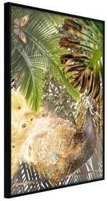 Poster  FairyTale Peacock in the Jungle  Cornice Quadri Cornice nera, Larghezza x Altezza Home decor 30x45