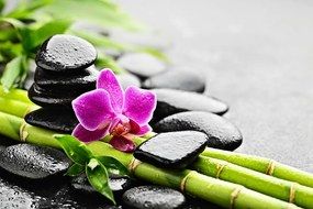 Carta da parati – Natura morta con orchidea viola