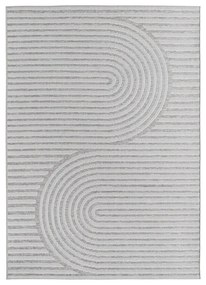 Tappeto da interno ed esterno grigio 200x290 cm Desert 1301 – Ayyildiz Carpets