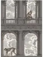 Tapete Procuratie con Vista von Cole and Son - Soot & Snow