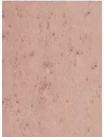 Arte International Carta da parati Stellar - 37503A