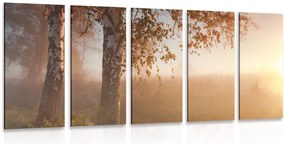 Quadri 5 pezzi – Foresta autunnale nebbiosa