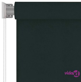 vidaXL Tenda a Rullo per Esterni 120x140 cm Verde Scuro HDPE