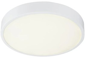 Globo 12364-30 - Lampada da bagno LED dimmerabile LED/28W/230V IP44