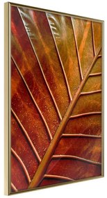 Poster  Bronze Leaf  Cornice Quadri Cornice d'oro, Larghezza x Altezza Home decor 40x60