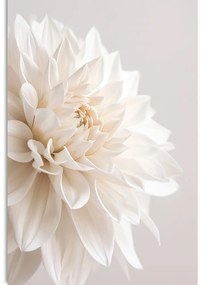 Stampa su tela – Petali bianchi