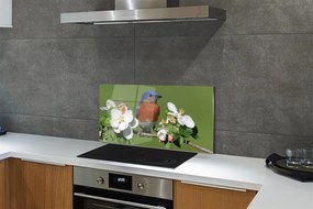 Pannello paraschizzi cucina Fiori di pappagallo colorati 100x50 cm