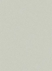 Tapete Pebble von Cole and Son - Pale Grey