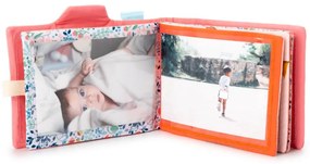 Lilliputiens - Album fotografico - Cervo Stella