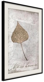 Poster  Dried Leaf  Cornice Quadri Cornice nera con pass-partout, Larghezza x Altezza Home decor 20x30