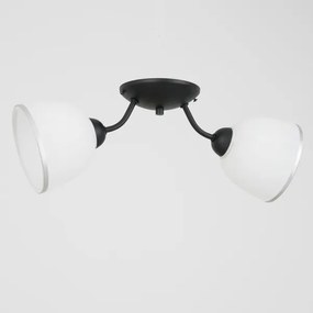 Plafoniera AVIA 2xE27/60W/230V