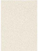 Harlequin Carta da parati Coral - Parchment