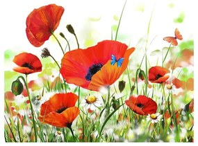 Fotomurale  Country poppies  Colore colorful, Dimensioni e Misure 350x270