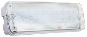 Lampada Emergenza LED da Soffitto o Parete IP65 Colore Bianco Freddo 6.000-6.500K