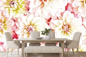 Carta da parati – Fiori di dalia pastello