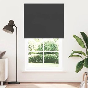 Tenda A Rullo Oscurante 120x210 Cm Larghezza Tessuto 116,6 Cm /