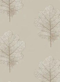 Sanderson Carta da parati Oak Filigree - Stone/ Gilver