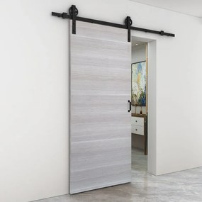 Porta scorrevole reversibile Corn in mdf grigio, L 92.5 x H 211.5 cm, con binario Rodeo