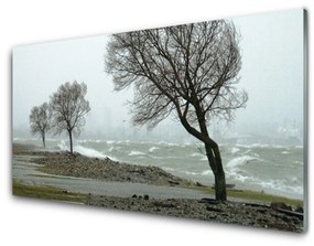 Quadro in vetro Onde del mare in tempesta 100x50 cm