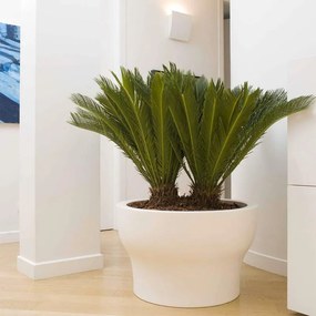 Vaso per piante e fiori Fit PLASTECNIC in polietilene H 50 cm Ø 55 cm