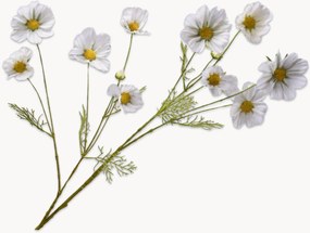 Set di 2 fiori artificiali Cosmos