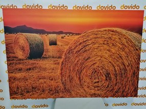 Stampa su tela – Balle di fieno