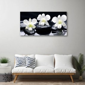 Quadro su tela Pianta di pietre di orchidea 100x50 cm