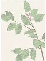 Lewis & Wood Carta da parati Beech - Document Green