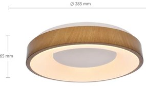 Brilagi - Plafoniera LED DORIA LED/24W/230V