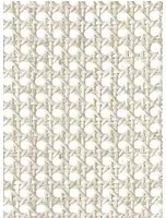 Coordonne Tapete Raffias+1 - 9800001