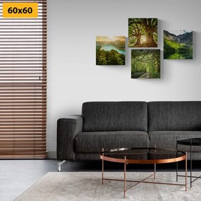 Set di quadri – Splendida natura verde