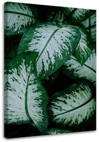 Quadro su tela, Foglie verdi pianta della natura