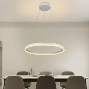 Brilagi - Lampadario a sospensione con filo LED dimmerabile CIRCLE LED/42W/230V 3000-6500K + +TC