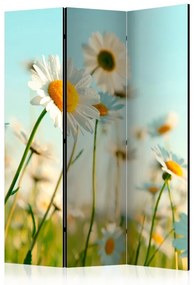 Paravento Daisies spring meadow [Room Dividers]