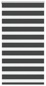 Tenda A Rullo Zebra Nero Larghezza Tessuto 65,9 Cm Poliestere /