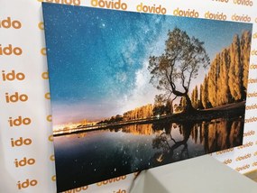 Quadro su tela – Albero sotto il cielo stellato