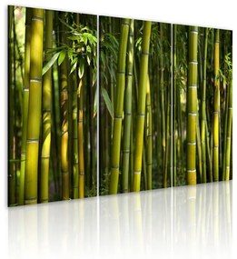 Quadro Bambu' e il verde