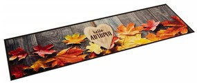 Tappeto Da Cucina Lavabile Autunno 60x300 Cm İn Velluto /